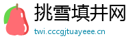 挑雪填井网